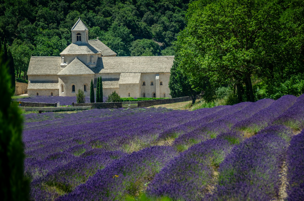 Paisagem de Provence, França